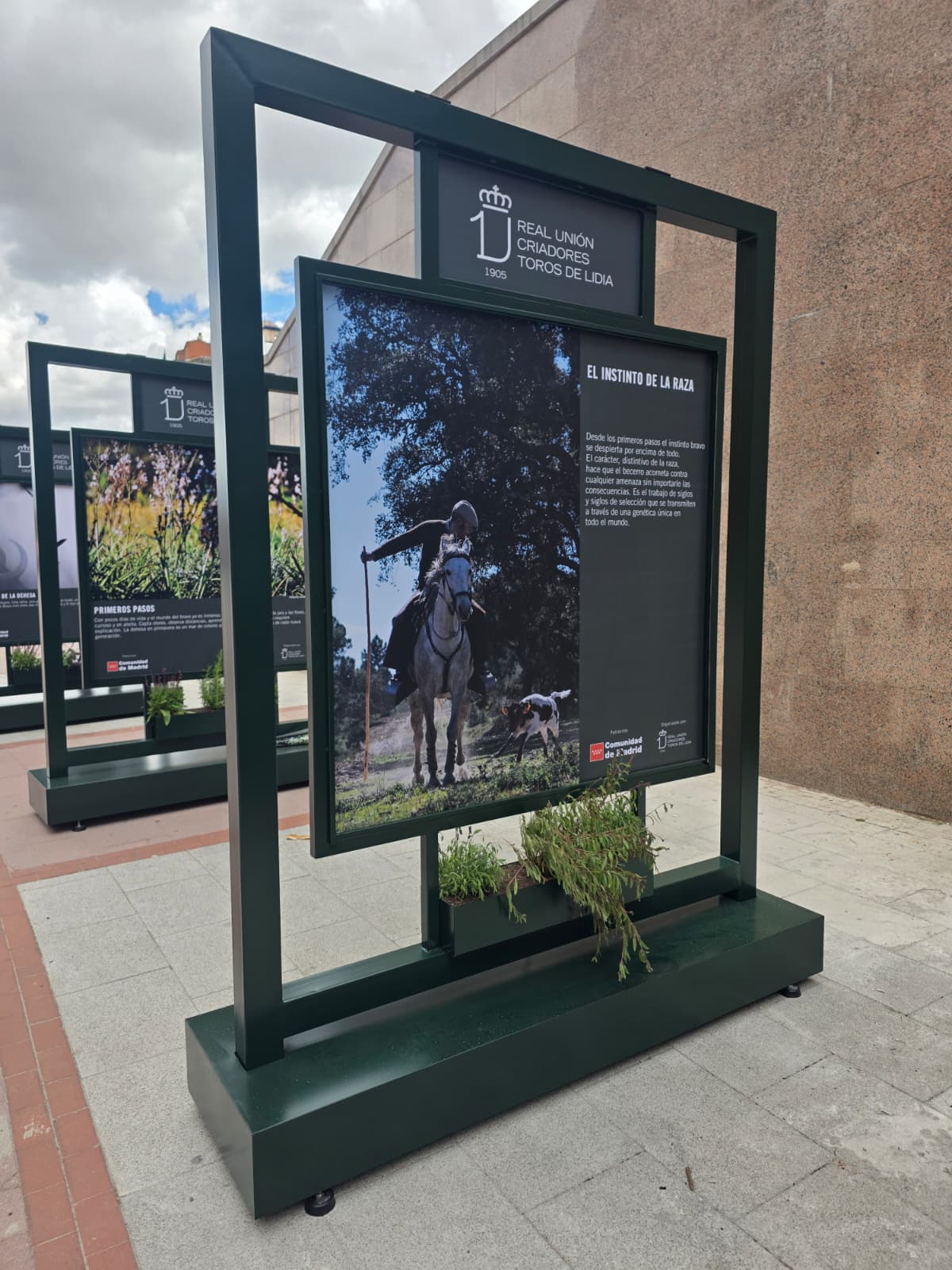 Expositor montado en la calle — trabajo artesanal de BullBoard