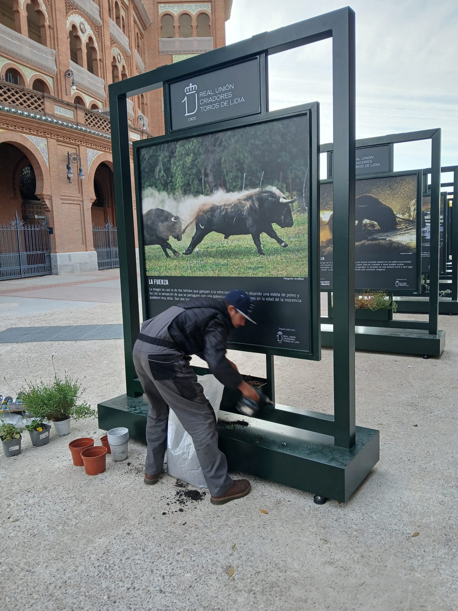 Plantando la jardinera del soporte — trabajo artesanal de BullBoard