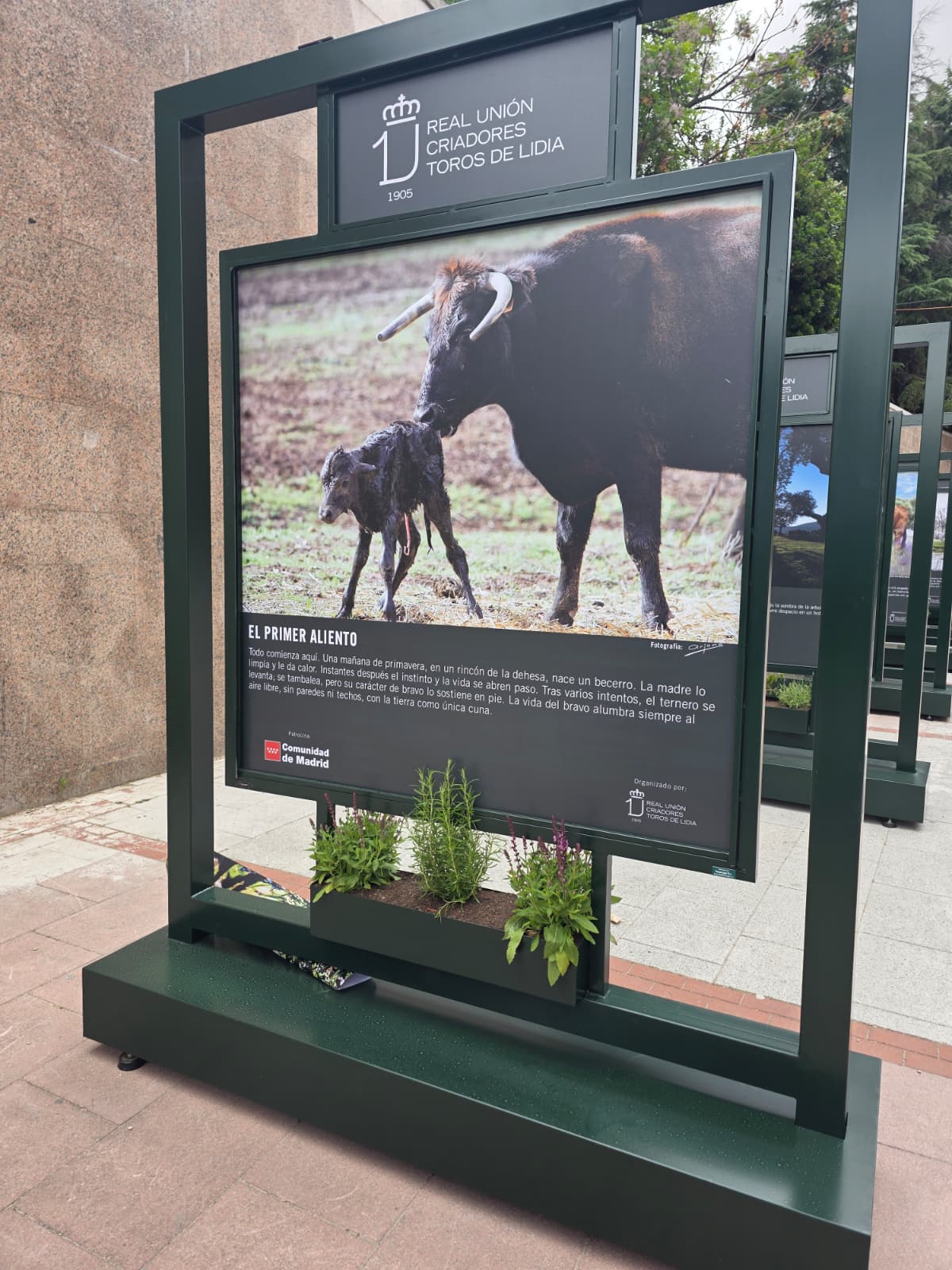 Expositor del primer aliento — trabajo artesanal de BullBoard