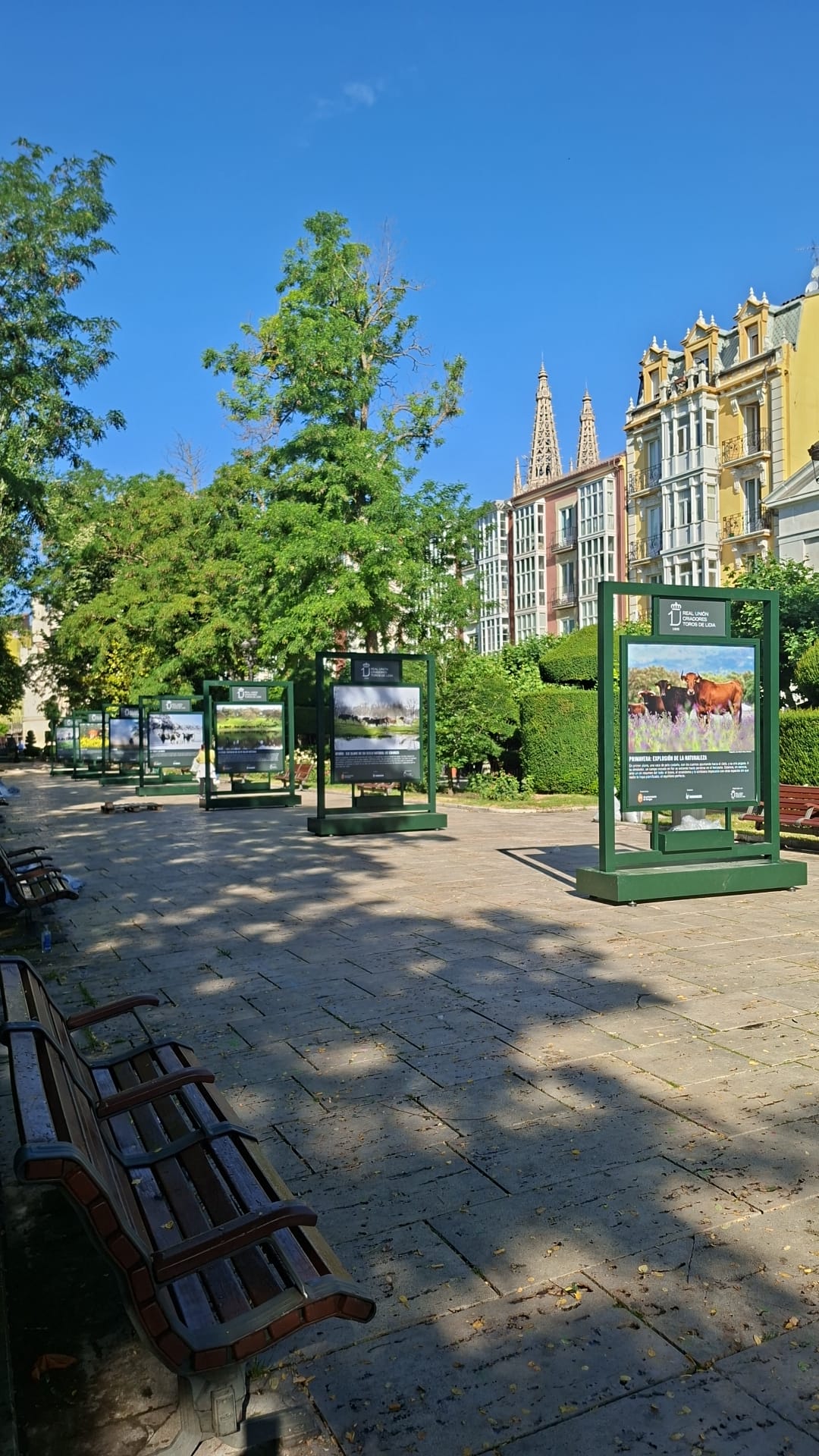 Exposición itinerante al aire libre — trabajo artesanal de BullBoard