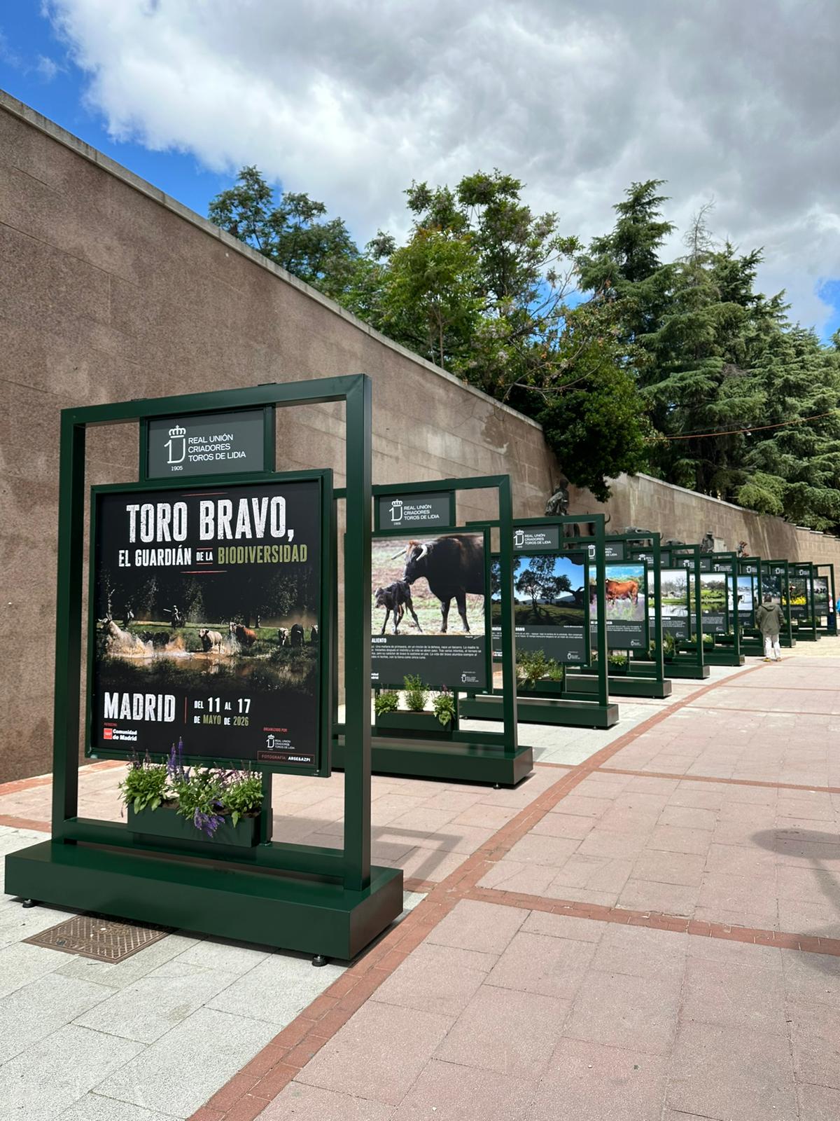 Exposición Toro Bravo en Madrid — trabajo artesanal de BullBoard
