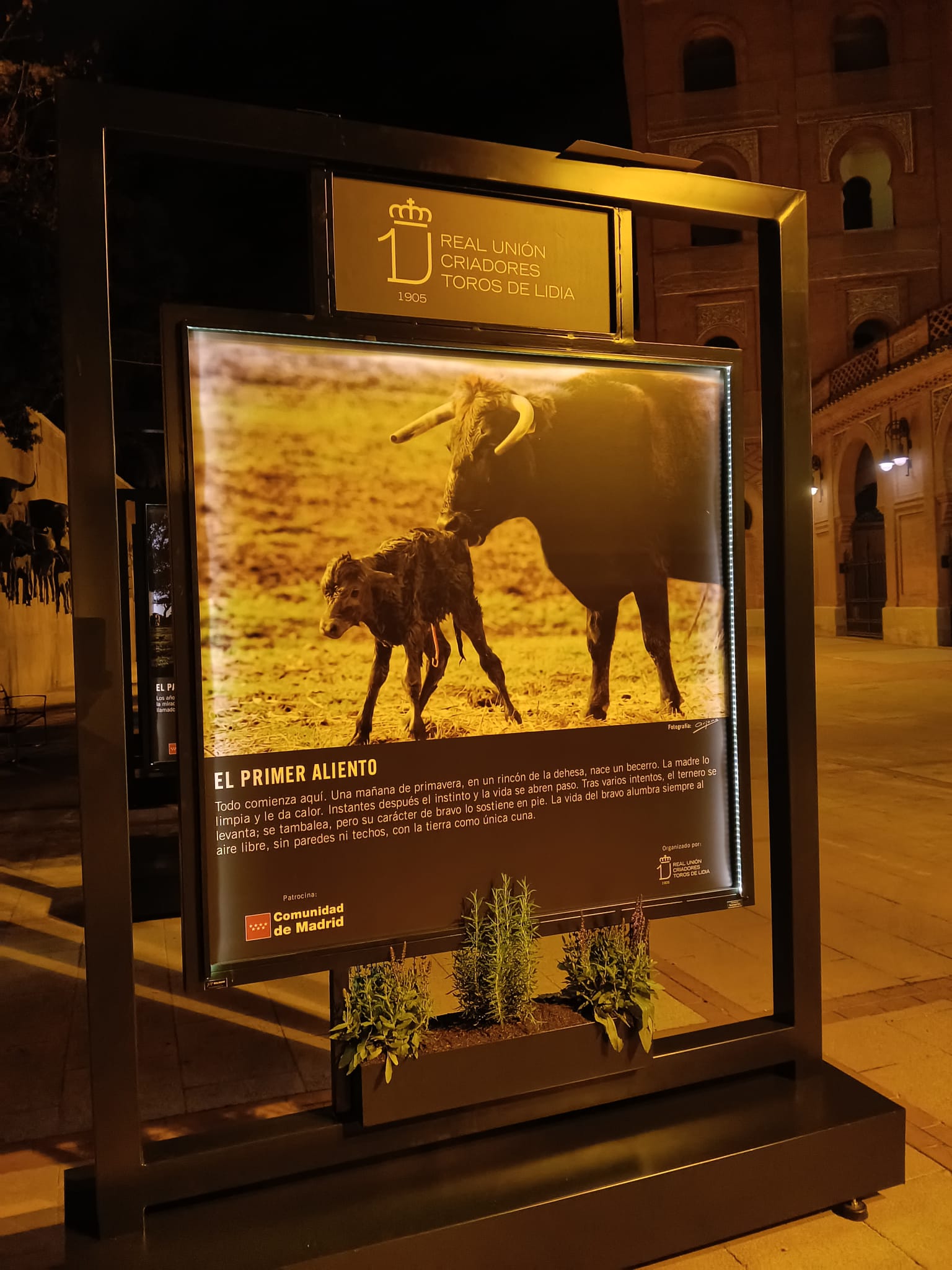 Expositor iluminado de noche — trabajo artesanal de BullBoard