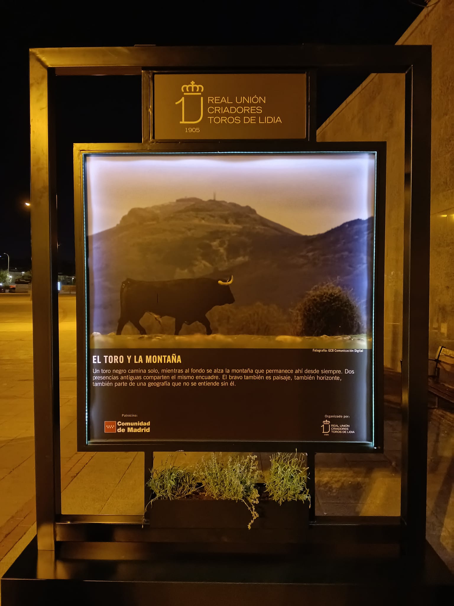 Soporte retroiluminado nocturno — trabajo artesanal de BullBoard
