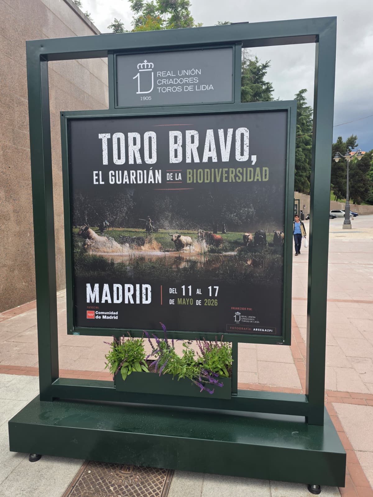 Mupi Toro Bravo en Madrid — trabajo artesanal de BullBoard